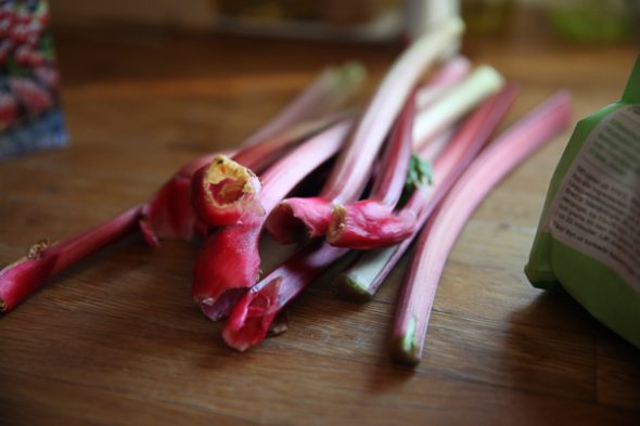 Everything You Need To Know About Rhubarb